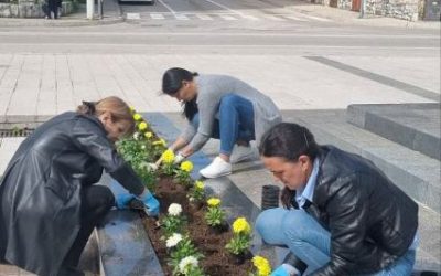 Општина Невесиње и КОМУС организовали акцију декоративног уређења града