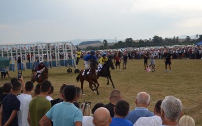 151. НЕВЕСИЊСКА ОЛИМПИЈАДА ОД 1. ДО 16. АВГУСТА