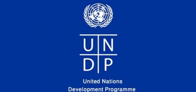 undp-635×300