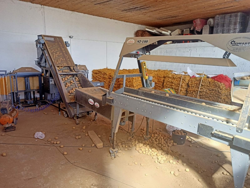 кромпирселекција